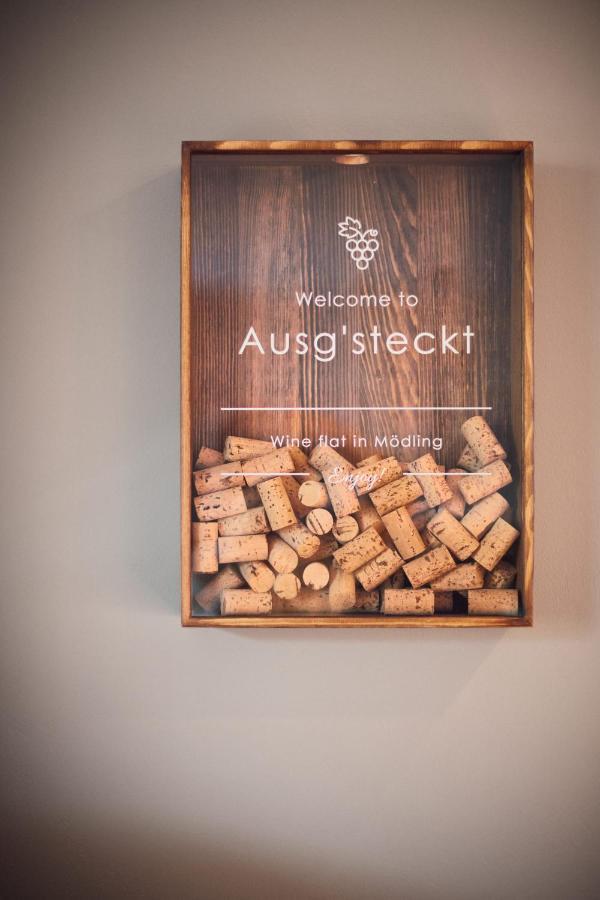 Апартаменты Ausg'Steckt - Wine Flat Modling - Great Location Экстерьер фото